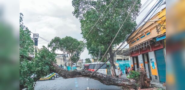 Árvore caída no centro do Rio de Janeiro durante vendaval provocado pela frente fria