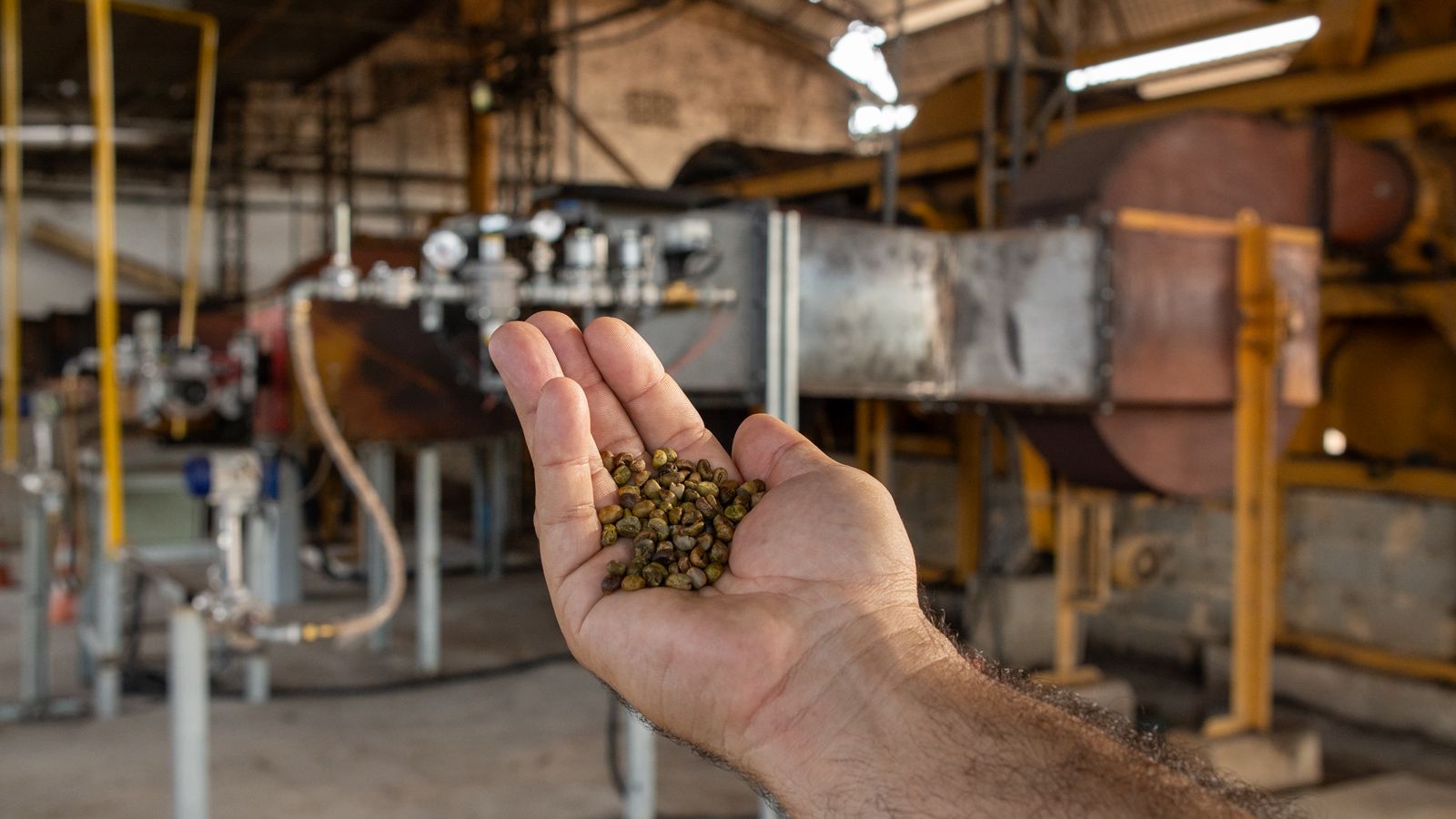 ES testa gás natural para secar café pela primeira vez no Brasil