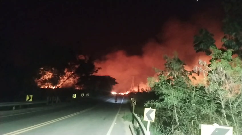 Incêndio atinge vegetação na ES 248 em Linhares