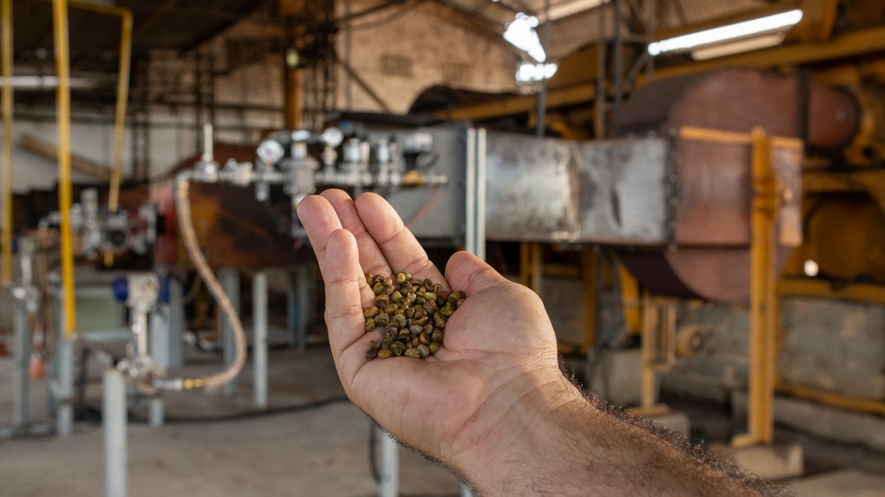 ES inicia projeto inédito de secagem de café com gás natural