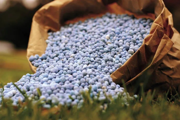 Preços dos Fertilizantes Disparam e Ameaçam Produção no ES