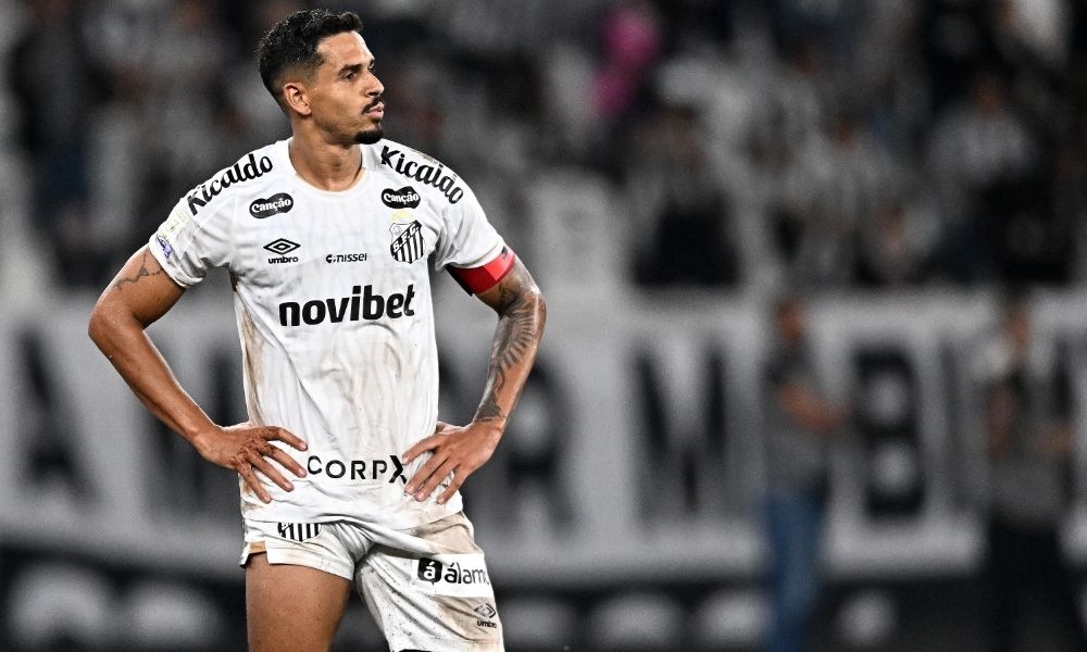 Botafogo vira sobre o Santos com gol nos acréscimos no Engenhão
